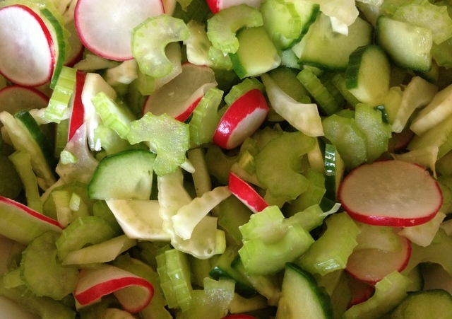close up celery fennel cucumber radish salad www.cookingforhealth.biz